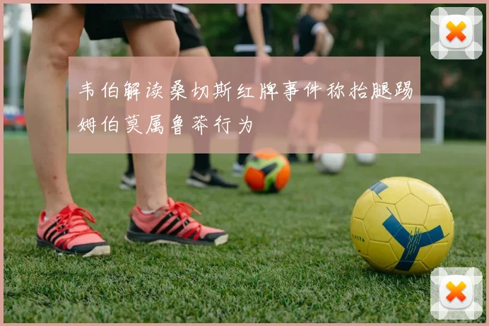 韦伯解读桑切斯红牌事件称抬腿踢姆伯莫属鲁莽行为